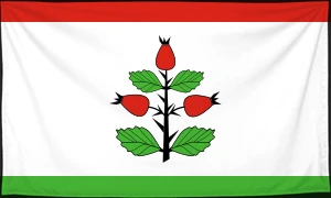 Флаг